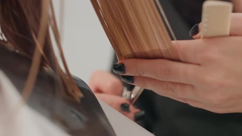 Examen minucioso del corte del cabello y el control de la tensión durante el peinado, seccionamiento preciso del cabello y