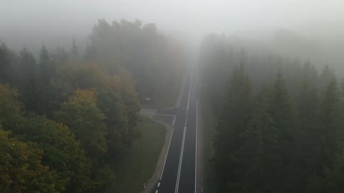Aerial shot along empty straight highway through tall forest in thick fog clouds