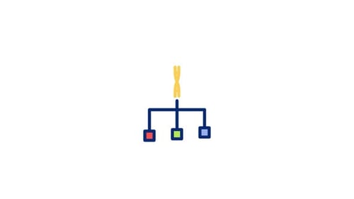 Genetics Animated Icon