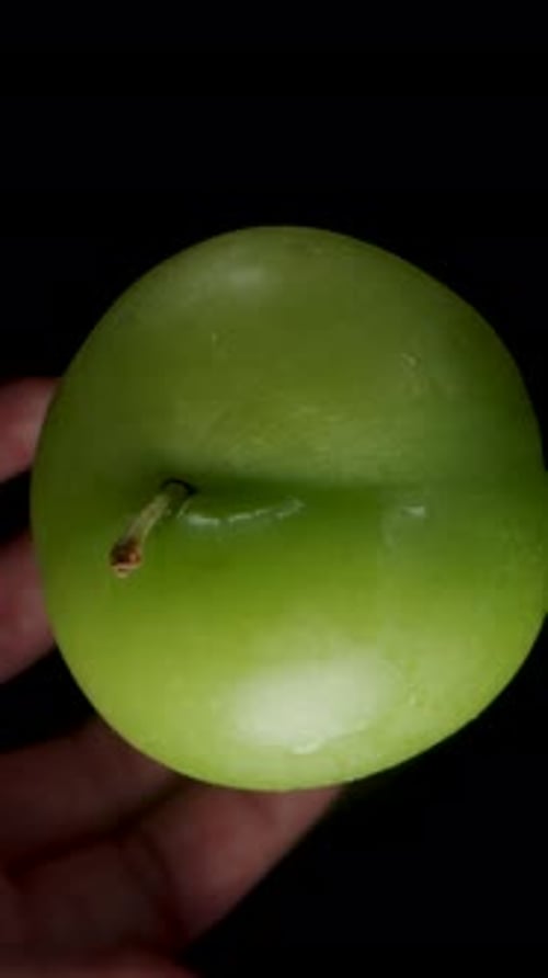 Vertical video. A Green Plum Slowly Rotating Falls into the Palm of a Woman's Hand, Macro Zoom.