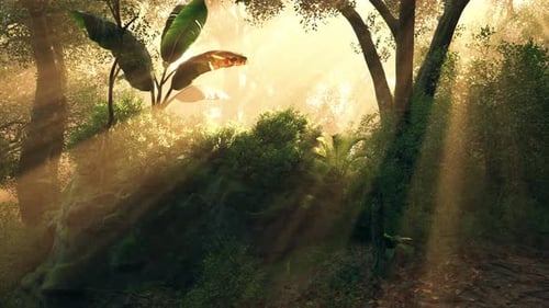 Sunlight Filtering Through Trees in a Lush Forest During Early Morning Hours