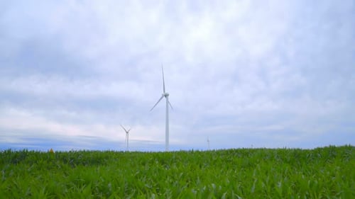 Wind Farm in Green Field. WInd Turbines Farm. Wind Technology. Green Energy