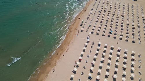 Aerial View of a Crowded Beach with Rows of Umbrellas and Sunbeds Along the Shore and People