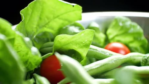 Shallow focus healthy fresh green spinach leaf cucamelon cherry tomato salad bowl closeup slow right