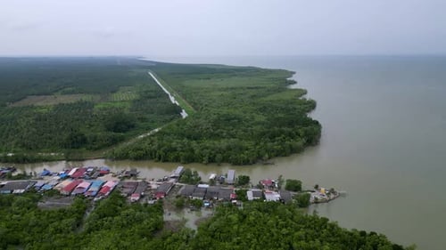 A river runs through a oil palm and a town is on the other side.