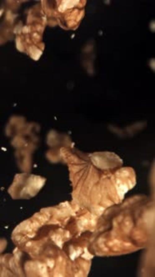 Walnuts Fly Down Filmed on a Highspeed Camera at 1000 Fps
