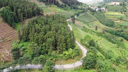 Drone Fly Over a Curvy Road in the Mountain with Vegetation and Green Forest