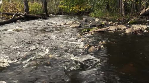 The river is flooded with heavy rain