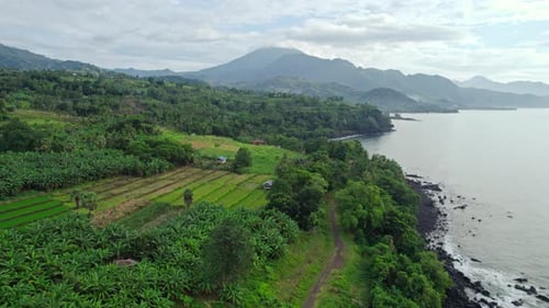 Aerial Orbit View of Tropical Coastline with Lush Green Hills and Mountain Peak