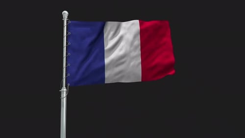 Realistic French Flag Waving on Pole Seamless Loop