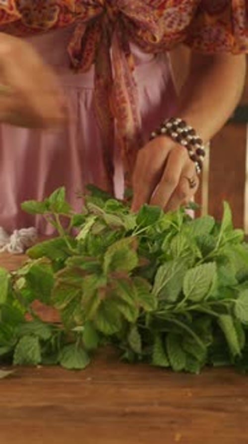 Woman Bundling Fresh Mint on Wooden Table