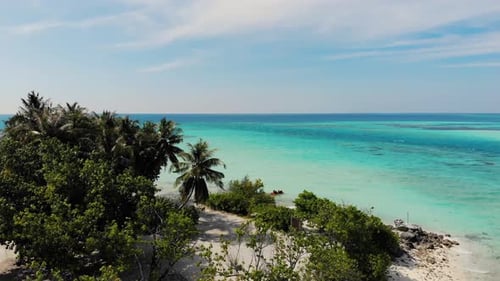 Indian Ocean, Maldives. Island With Palms In The Ocean