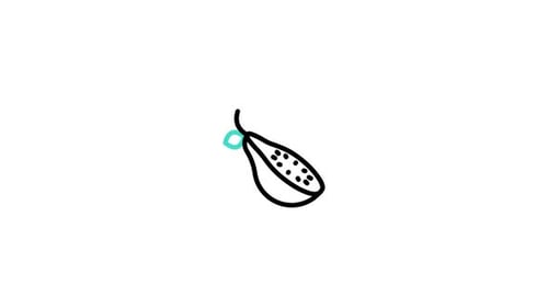 Guava Animated Icon