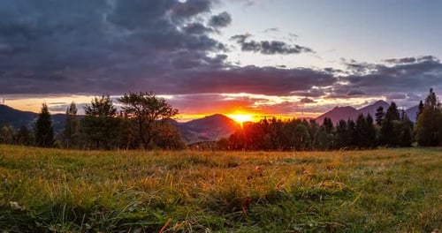 Sunrise Over Alpine Meadow Nature