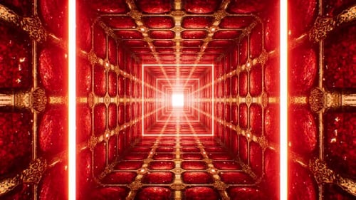 Roter Royal Vj Loop