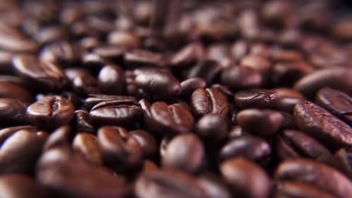 Roasted Coffee Beans Close-up with Shallow Depth of Field