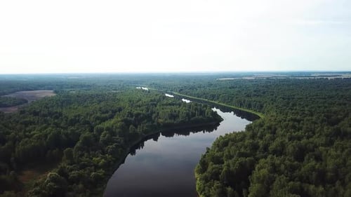 Beautiful Summer Landscape Of River And Forest 12