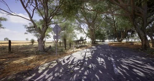Lush Australian Landscape with Road and Eucalyptus Trees in Daylight