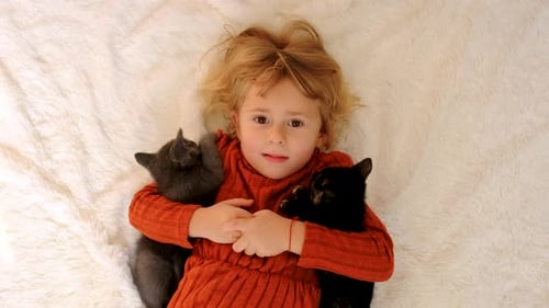 Child Lying with Kittens on Cozy Blanket