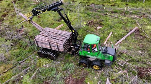 Forestry Machine Harvesting Trees in Rural Woodland