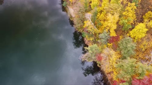 Autumn aerial look down on river with vivid trees
