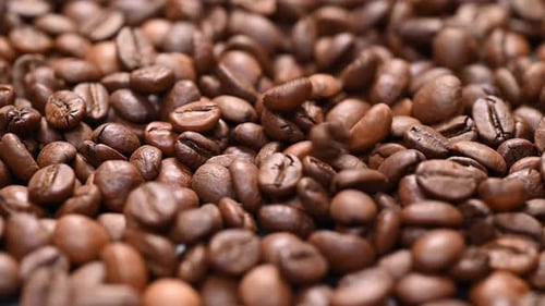 Close Up of Freshly Roasted Coffee Beans