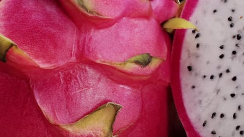 Pink Dragon Fruit Exotic Pitaya or Pitahaya is a Fruit of Several Different Cactus Species Dragon