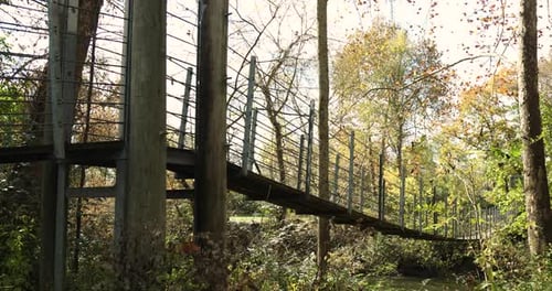 Large Suspension bridge over a river in the woods during the autumn season. Shot in 4k slow motion.
