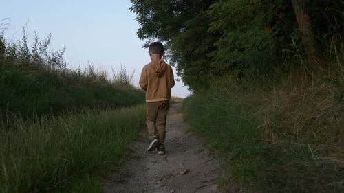 Walking little boy on rural road in countryside