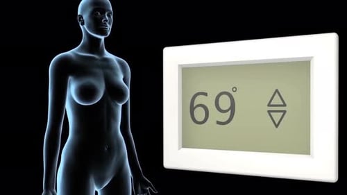 Human Thermoregulation With Digital Thermostat 3D Animation