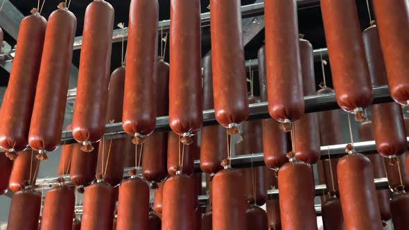 Sausages Curing in Meat Processing Plant Rows of Sausages Curing Hung ...
