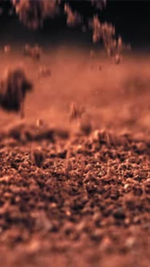 Ground Coffee Drop Filmed on a Highspeed Camera at 1000 Fps