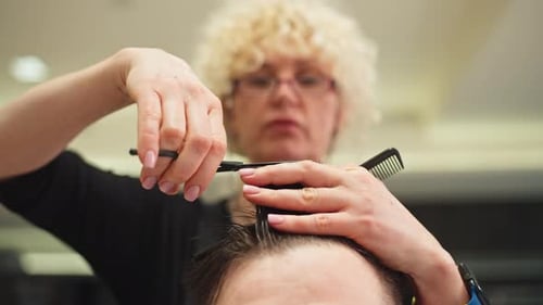 Woman Hairdresser Cuts Hair in a Beauty Salon