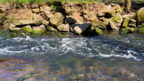 Stream flowing continuously through forest on sunny summer day. Sideview.