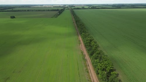 Green Farmland Stretching Across Rolling Terrain Intersected By Dusty Road and Scattered Tree Lines