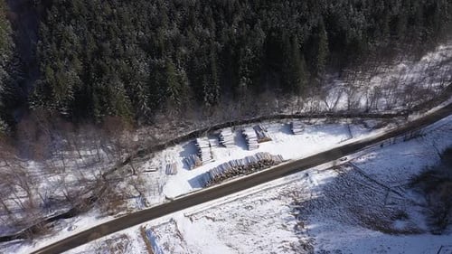 Flying above stack of freshly cut pine tree trunks, pile log industry aerial view
