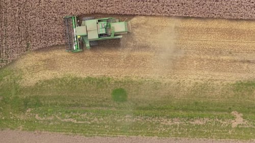 Cinematic drone of combine racing sunrise across wheat plain, Netherlands