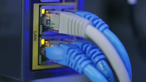 Closeup of LAN Network Cables Plugged Into Switch Panel
