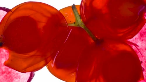 Crushed Red Rowan Berries Macro on White
