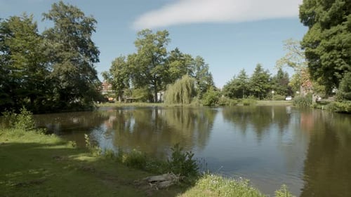 Small lake in beautiful green park in summer