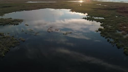 Aerial Landscape in Rural Area Drone Flies Over the Green Grass in Marshland Beautiful Morning