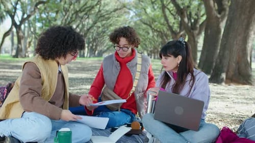 College Friends Studying Outdoors in the Park