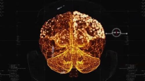 Digital Brain Scan – Futuristic Medical Interface Concept