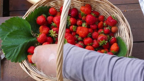 Top View of a Basket of Strawberries