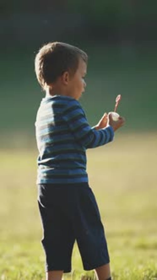 A Little Boy Playing with Soap Bubbles in the Park