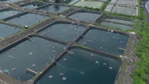 Aerial view of shrimp farm ponds with water aerators