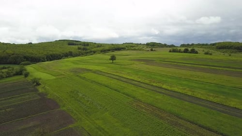 Aerial View of Small Village with Small Houses Among Green Trees with Farm Fields and Distant Forest