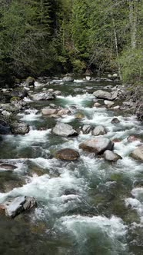 Canadian Nature: Scenic River Rocks and Rapids. British Columbia, Canada.