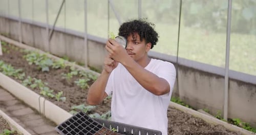 Young Adult Examining Seedling in Greenhouse with Magnifying Glass