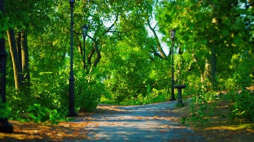 Paths in the Park Zone